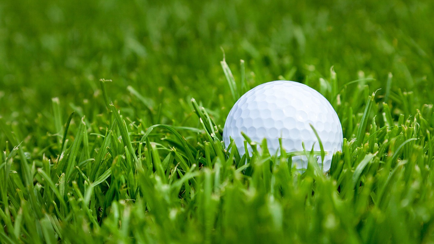 FT Fairway Pro 25-5-15-2 | Produkte | Intrachem Bio