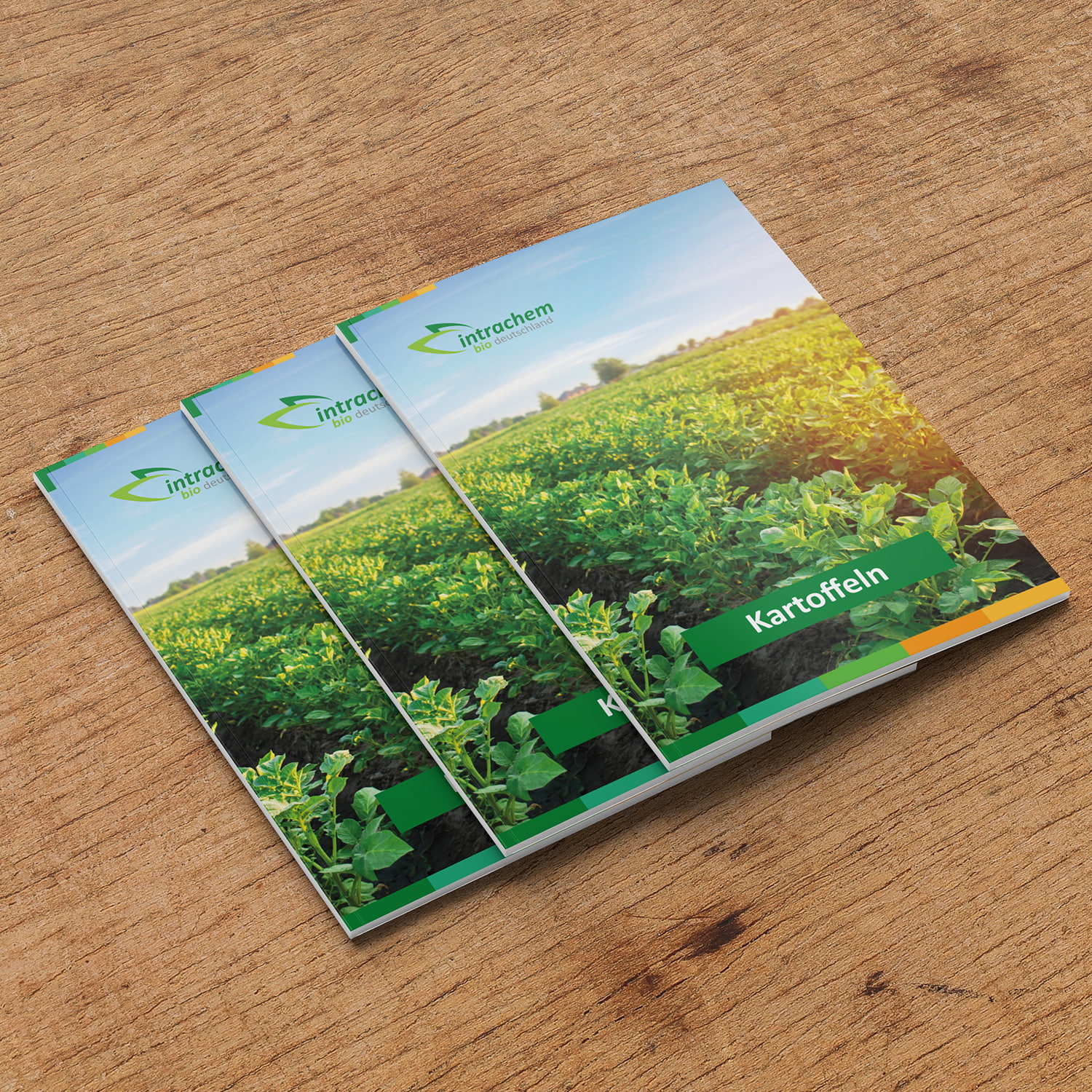 intrachem-bio-broschuere-kartoffeln-202511.jpg