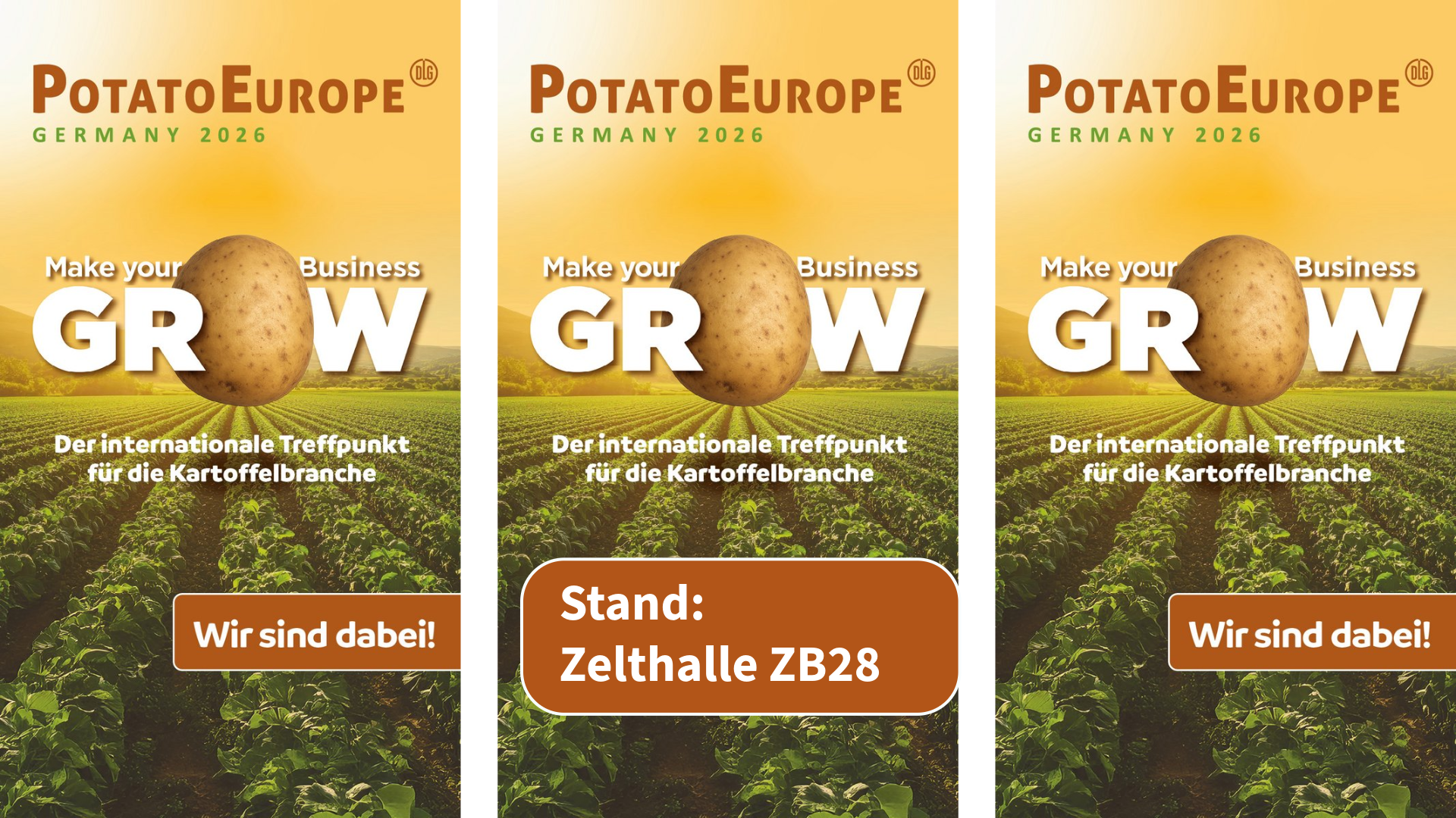 potato_europe_2026_1.png